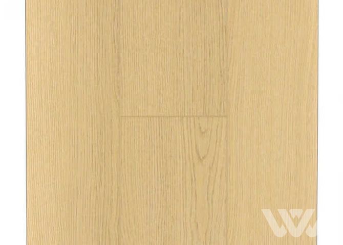 Фото №1 - SPC-ламинат Firstfloor Отборный дуб классика 1F055