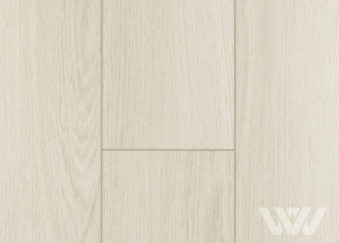 Фото №1 - SPC-ламинат Firstfloor Отборный снежный дуб 1F057