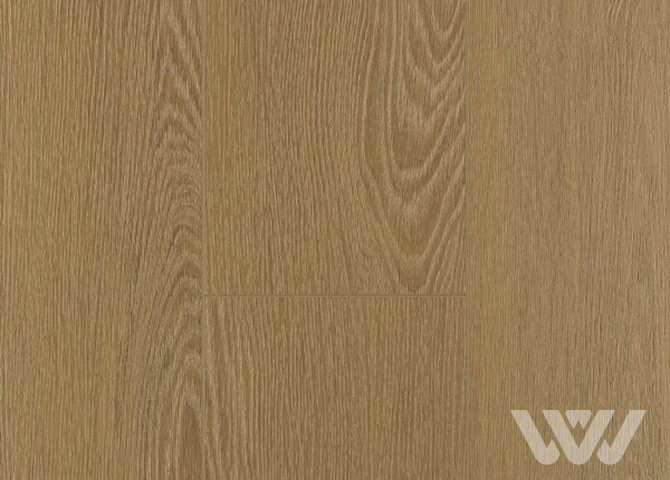 Фото №1 - SPC-ламинат Firstfloor Отборный коричневый дуб 1F058