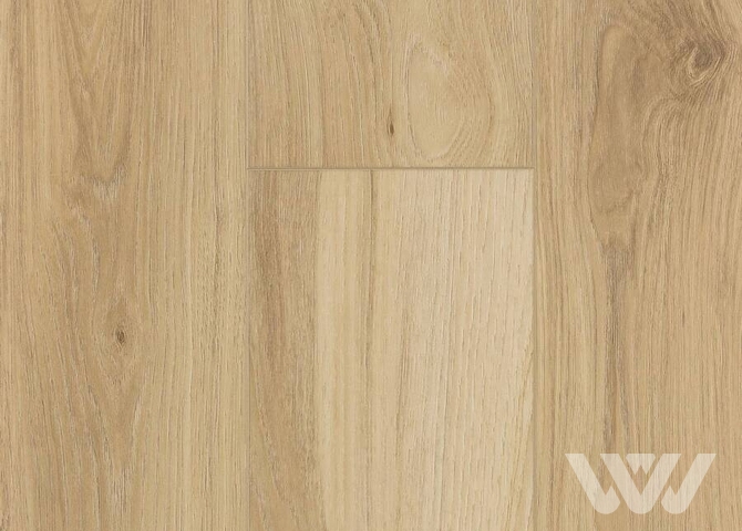 Фото №1 - SPC-ламинат Firstfloor Весенний дымчатый дуб 1F060