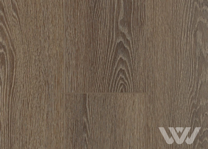 Фото №1 - SPC-ламинат Firstfloor Отборный шоколадный дуб 1F061