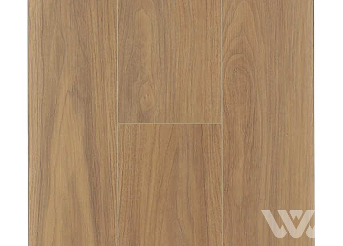 Фото №1 - SPC-ламинат Firstfloor Американский орех Фендер 1F008