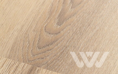 LVT-ламинат Firstfloor Белый дикий лес 2F001