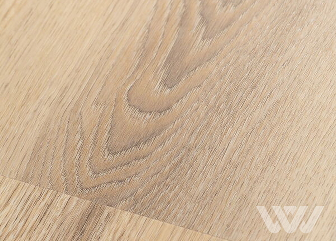 Фото №1 - LVT-ламинат Firstfloor Белый дикий лес 2F001