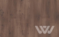 Ламинат Laminext Arto D50897 Дуб Пирмонт