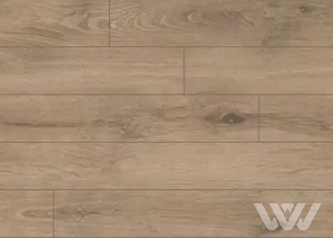 Фото №1 - Ламинат Camsan Legend 5002 Дуб Сакарья