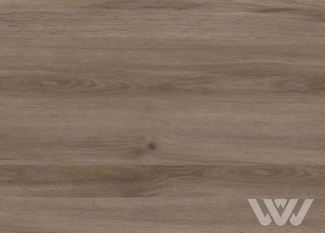 Фото №1 - Ламинат Camsan Legend 715 Дуб Илгиз