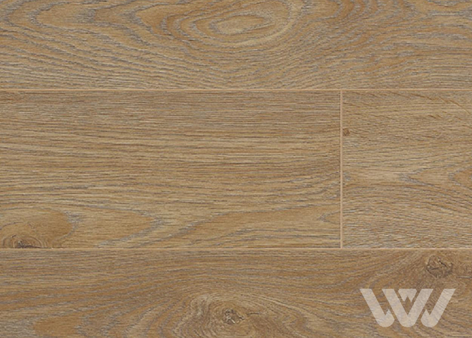 Фото №1 - Ламинат Camsan Avangard 4005 Дуб Аси