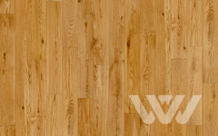 Паркетная доска Coswick Вена 1172-7819-30