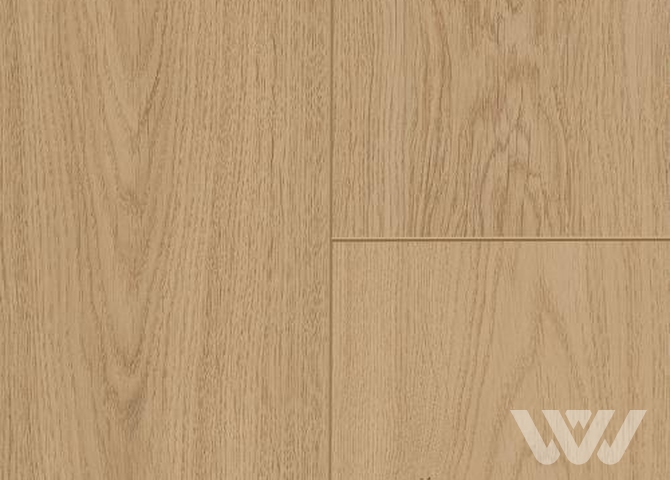 Фото №1 - Ламинат CLASSEN 832-4 WR 68278 Дуб мягкий песочный