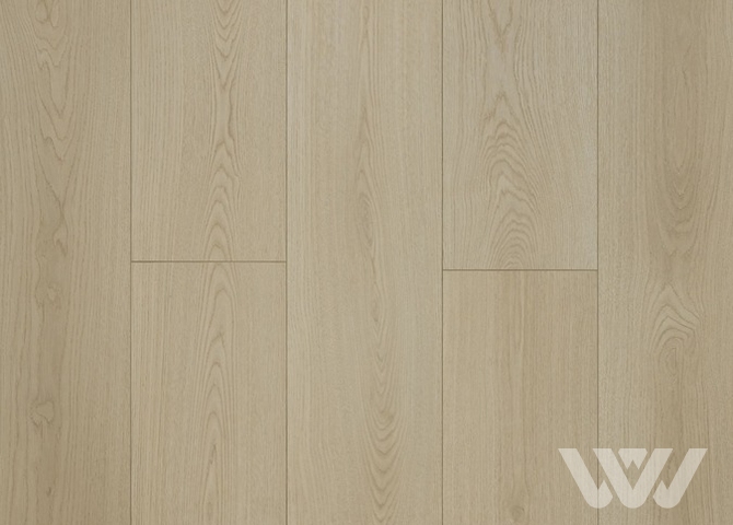 Фото №1 - Ламинат My Step Fortis XL Дуб Гелис MS7112