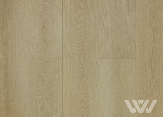 Фото №1 - Ламинат My Step Fortis XL Дуб Юнион MS7212