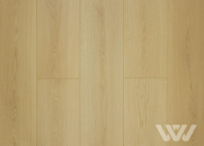 Фото №1 - Ламинат My Step Fortis XL Дуб Ирис MS7312