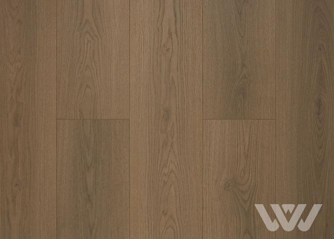 Фото №1 - Ламинат My Step Fortis XL Дуб Этери MS7412