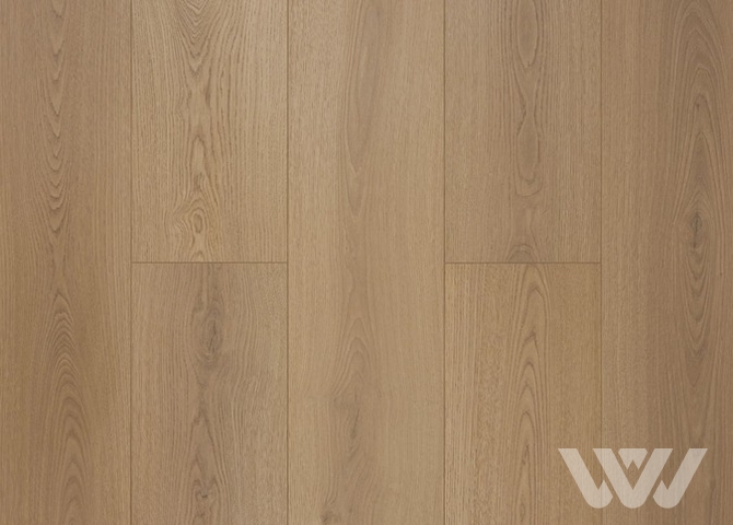 Фото №1 - Ламинат My Step Fortis XL Дуб Оро MS7712