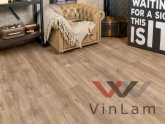 Фото №1 - Виниловая плитка Alpine Floor GRAND SEQUOIA LIGHT ЕСО 11-901 Карите