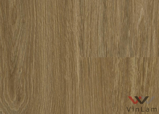 Фото №2 - Виниловая плитка The Floor Wood P6003 Calm Oak