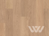Фото №1 - Ламинат Quick Step Perspective Wood PW0915 Доска белого дуба лакированная