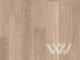 Фото №1 - Ламинат Quick Step Perspective Wood PW1304 Доска дубовая светло-серая лакированная