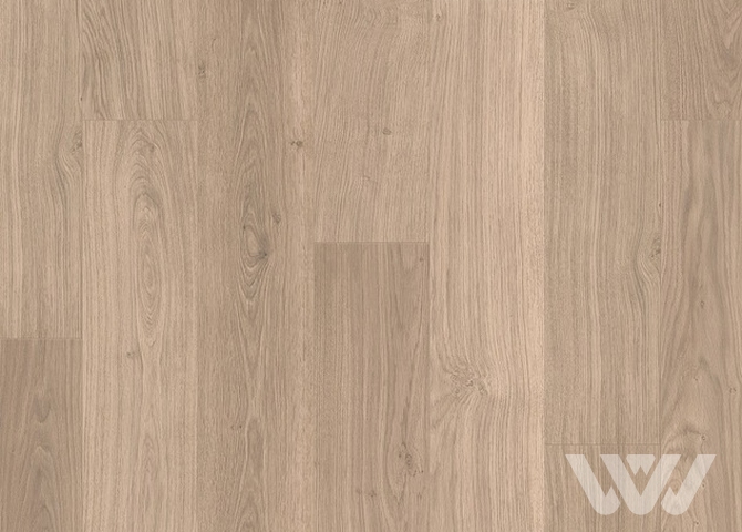 Фото №1 - Ламинат Quick Step Perspective Wood PW1304 Доска дубовая светло-серая лакированная