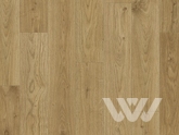 Фото №1 - Ламинат Quick Step Perspective Wood PW1491 Дуб натур светлый