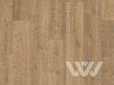 Фото №1 - Ламинат Quick Step Perspective Wood PW3578 Дуб природный натуральный