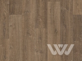 Фото №1 - Ламинат Quick Step Perspective Wood PW3579 Дуб природный коричневый