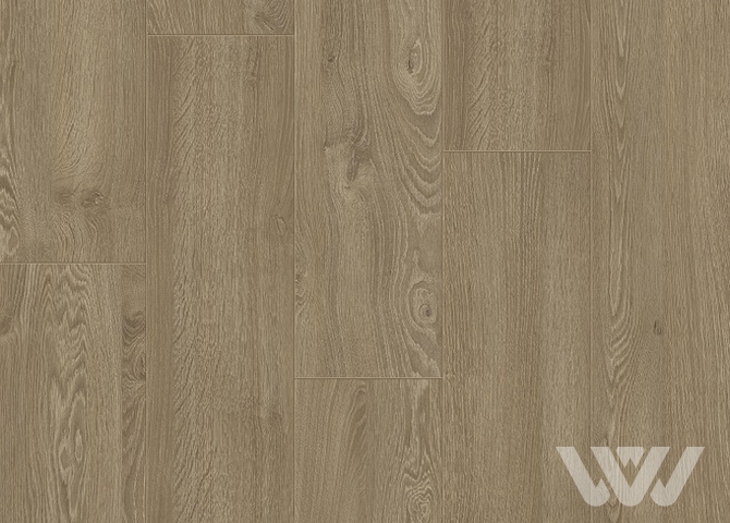 Фото №1 - Ламинат Quick Step Perspective Wood PW9073 Дуб селект выбеленный