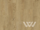 Фото №1 - Ламинат Quick Step Perspective Wood PW9076 Дуб классик натуральный