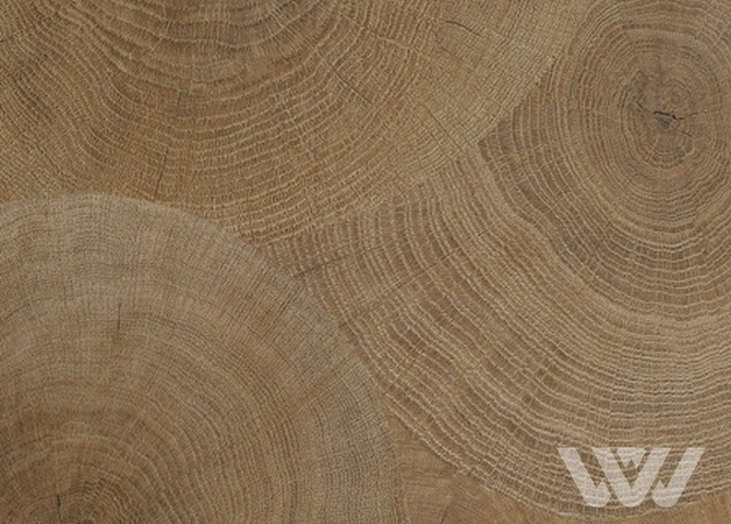 Фото №1 - Виниловая плитка CERAMO VINILAM STONE GLUE 61601 Дуб Натуральный