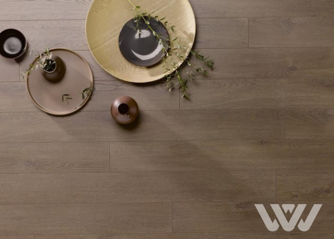 Фото №1 - Ламинат Alpine Floor Homflor Patio 560 Olbia Oak