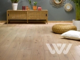 Фото №1 - Ламинат Alpine Floor Homflor Patio 575 Fonio Oak