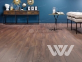 Фото №1 - Ламинат Alpine Floor Homflor Distingo 704 Erin