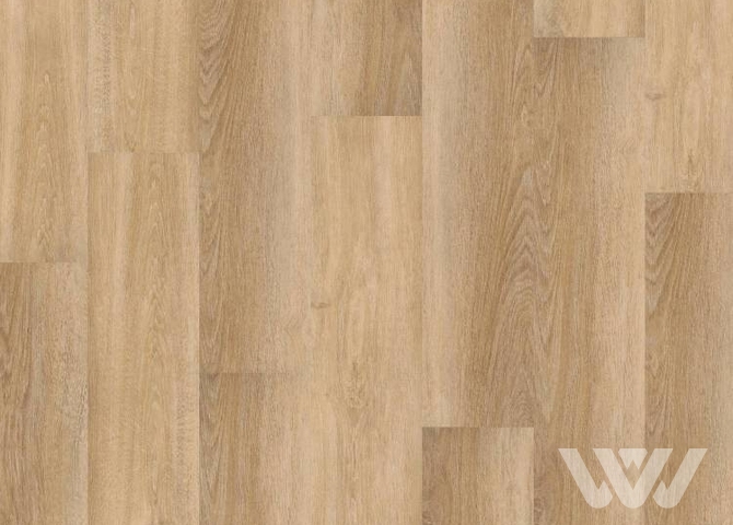 Фото №1 - LVT DB Bonkeel Рокстар Виктор