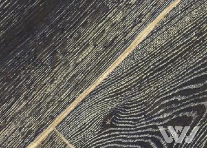 Фото №1 - Инженерная доска Vecchio Parquet Итальянская Дуб Альба