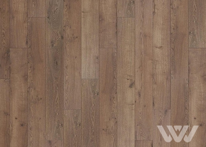 Фото №1 - Ламинат Kastamonu TO 105